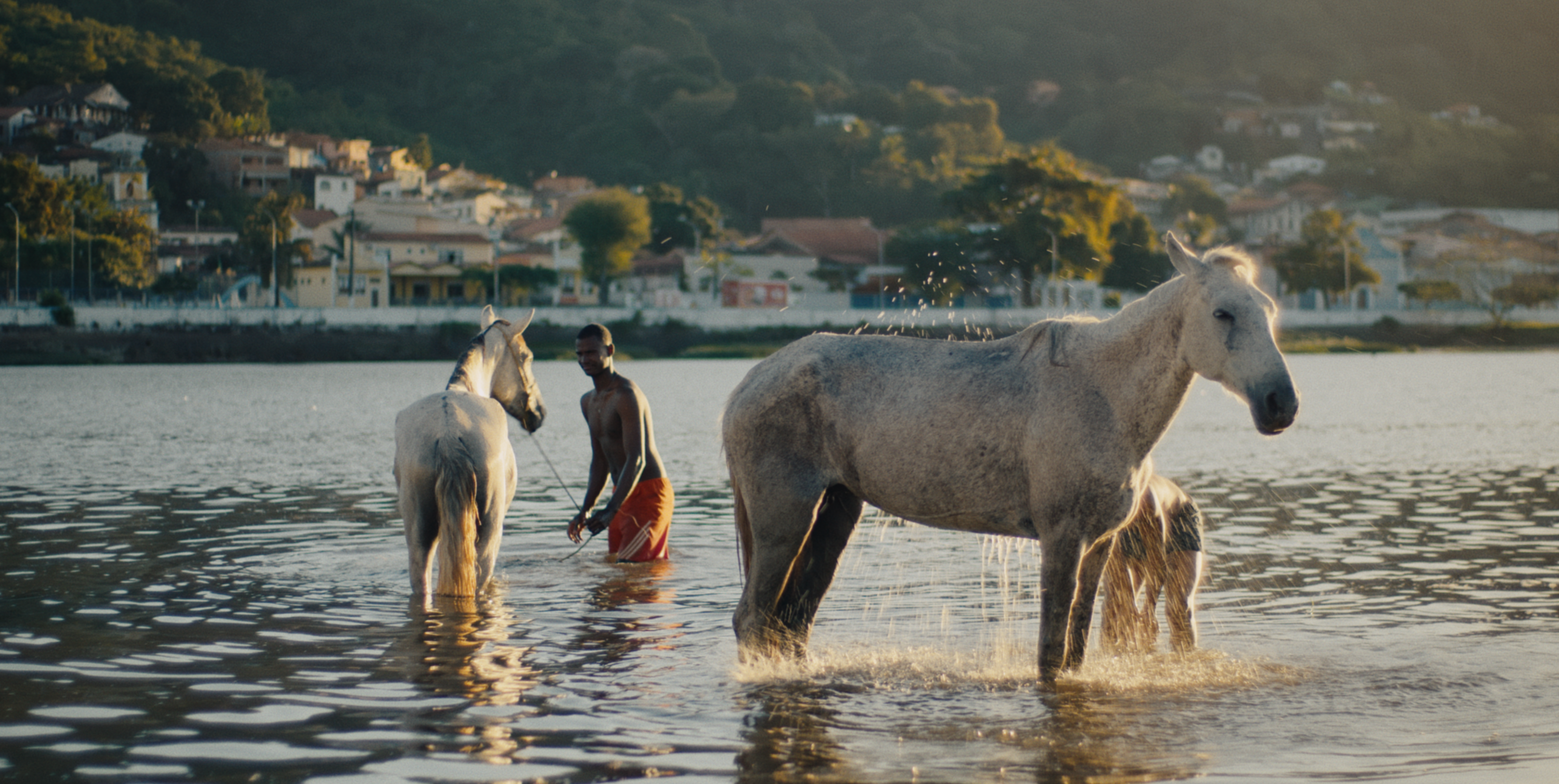 Captura de Tela 2025-02-26 às 16.58.32