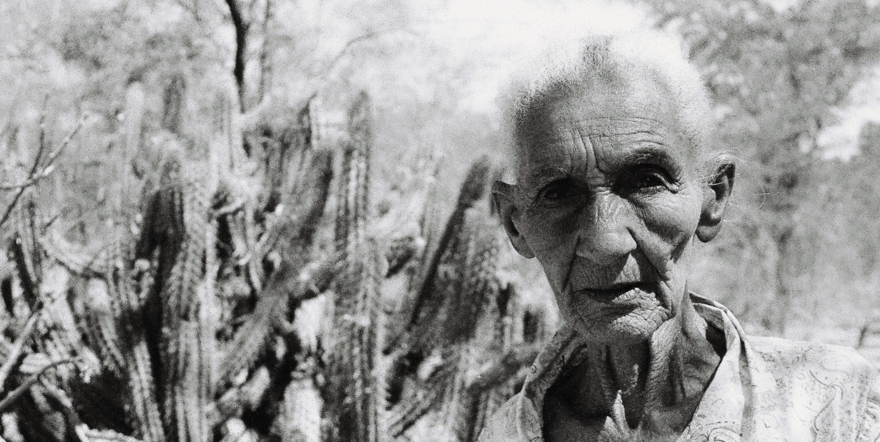 Captura de Tela 2025-02-26 às 17.07.02